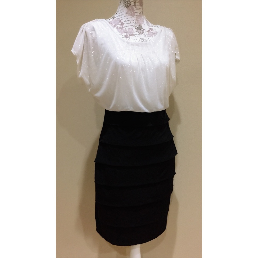 NWOT Stunning Shimmer Top & Fitted Skirt Dress 10